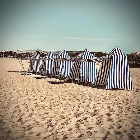 L'envol * Royan